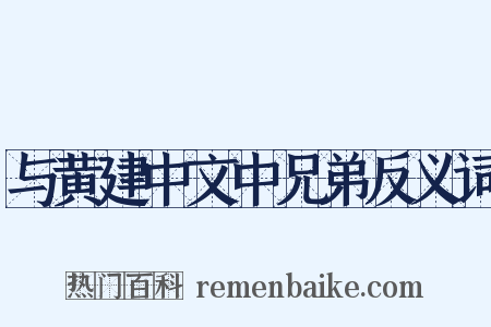 与黄建中文中兄弟反义词是什么意思的图片
